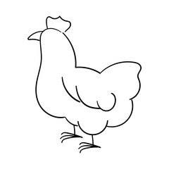 chicken