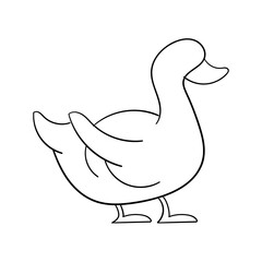 duck