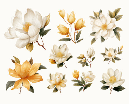Set of Vintage White Flower Watercolor Clipart
