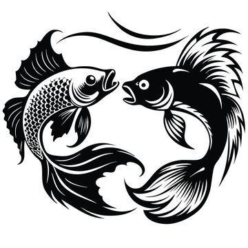 recommend clip art: Guppy vs betta vector silhouette Illustration Isolated white background.