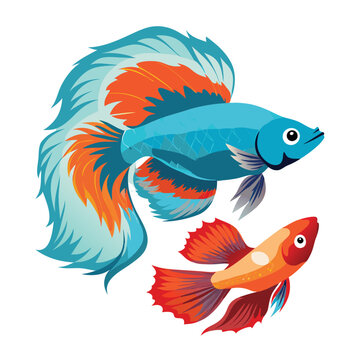 recommend clip art: Guppy vs betta vector Illustration Isolated white background.