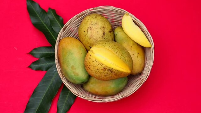 Top View of Ripe Yellow Mango Fruit with Mango Leaves in a Bamboo Basket with Leaves Isolated on Red Background with Copy Space