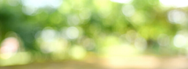 Banner Blur background green park garden nature bright sunny forest. Blurry outdoor park in spring...