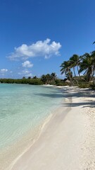 Idyllic empty Caribbean beach with crystal clear turquoise water, white sand, and palm trees under a bright blue sky. Perfect for tropical, vacation, travel, and paradise themes. Stunning nature lands