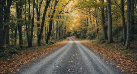 Obraz premium Rustling leaves along a gravel road leading into dense woods background tranquil sounds inviting reflection and exploration of the serene environment