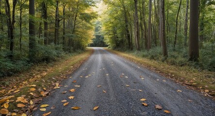 Obraz premium Rustling leaves along a gravel road leading into dense woods background tranquil sounds inviting reflection and exploration of the serene environment