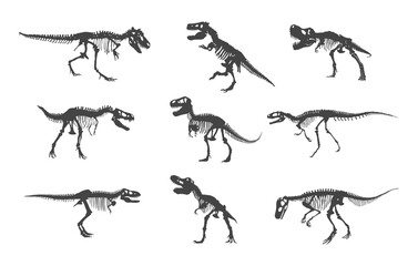 Naklejka premium Dinosaur skeleton svg, Dinosaur skeleton silhouette, Dinosaur bones svg, Dinosaur bones silhouette, Dinosaur silhouette, Dinosaur svg.