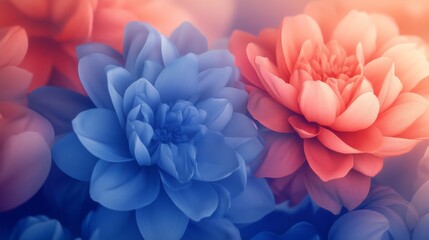 Obraz premium Soft Floral Designs with Gradient Tones and Lighting Effects