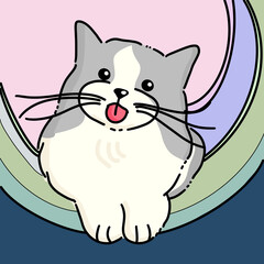 Cute Cat