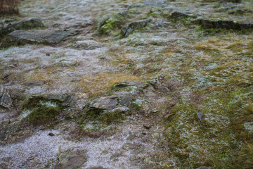 Frosty morning closeup of a mountain face in Bradgate Park UK.