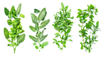 Fresh Sage Herbs Collected and Arranged on a Transparent Background Generative AI