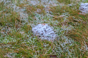 Frosty Morning in Bradgate Park, UK.