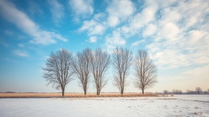 A serene winter landscape featuring five bare trees against a blue sky with scattered clouds.