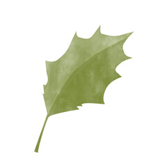 Fototapeta premium Watercolor Holly Leaf. Attribute of winter holidays. Digital Illustration for Printing and Web.
