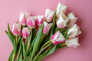 Fototapeta premium Pink and White Tulips Bouquet on Pink Background
