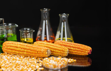 Biofuel with Plants industry lab researching for bio-aviation fuel (BAF) to be a sustainable...