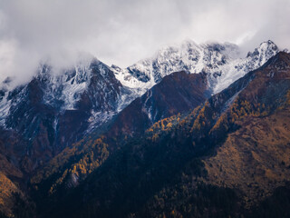 Obraz premium Aerial view of beautiful autumn forest landscape and snow capped mountains