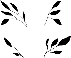 Vector set of silhouettes of stylized twigs, design elements. Black branches with leaves on a white background.