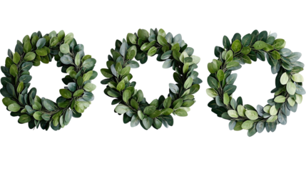 Laurel Wreaths on Transparent Background for Decoration Generative AI