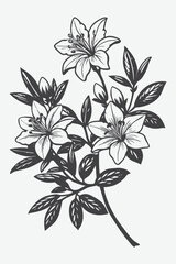Azalea Branch with Beautiful Flower Silhouette Vector Illustration in Black and White Design for Art and Decoration