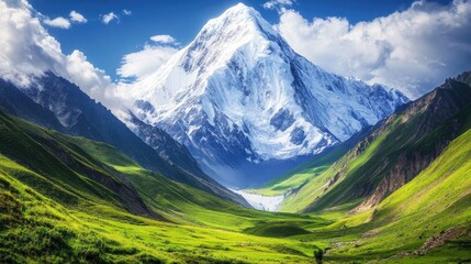 Obraz premium A majestic snowy mountain towering over a dense green valley, symbolizing the power and stunning beauty of nature