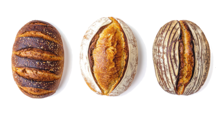 Artisan Bread Loaves on Transparent Background Generative AI