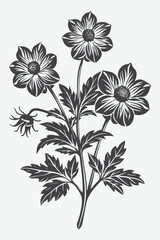 Anemone Branch with Beautiful Flower Silhouettes Vector Illustration in Detailed Artistic Style