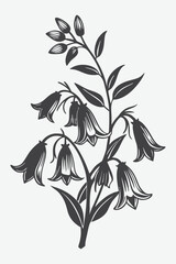 Bluebell Branch with Flowers Silhouette Vector Illustration for Nature Art and Floral Design Projects