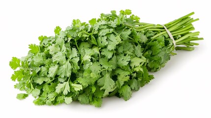 Obraz premium Bunch of fresh green organic cilantro isolated on white