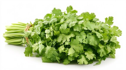 Obraz premium Cilantro isolated on white background