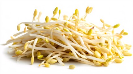 Obraz premium Mung bean sprouts isolated on white background