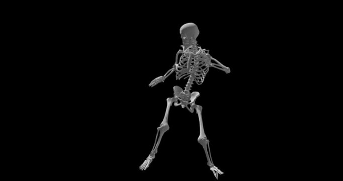 Studio, skeleton and bones with dancing for halloween, spooky spirit and celebration with movement. Mockup space, body structure and performance by black background for after life, freedom and rhythm