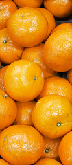 Many mandarines. Many ripe tangerines close-up. Bright background - tangerines. Benefits of citrus fruits.