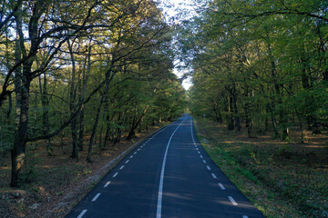 Fototapeta premium Aerial view of asphalt road in the forest