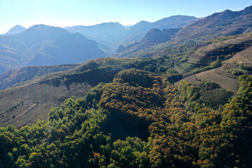 Aerial view of colorful autumn forest covered mountains in the autumn