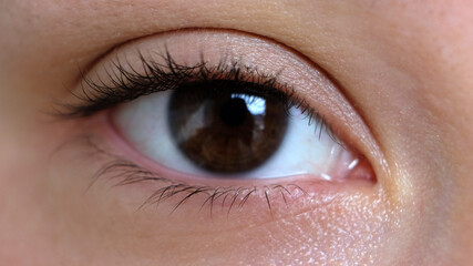 Obraz premium close up of a female eye