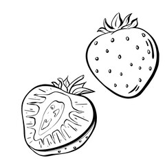 Fresh and Juicy Strawberries are Beautifully Illustrated in this Creative Artwork Piece. Vector sketch illustration. 