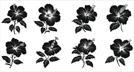 Obraz premium Vector hibiscus flower silhouettes. Elegant hibiscus flower silhouettes design. Beautiful hibiscus flower silhouettes. Tropical hibiscus flower silhouettes vector 