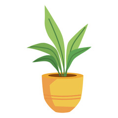 Fototapeta premium houseplant green leaves