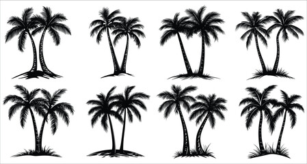 Obraz premium Tropical palm tree silhouettes vector design. Vector set of palm tree silhouettes. Beautiful palm tree silhouettes vector art. Palm tree silhouettes for summer designs 