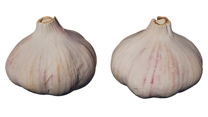 Obraz premium garlic and cloves isolated