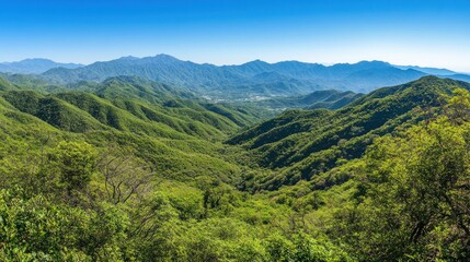 Obraz premium A panoramic view of lush green mountains under a clear blue sky.