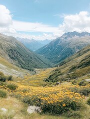 Fototapeta premium A panoramic view of a valley filled with wildflowers, nestled between majestic mountain peaks under a bright blue sky.