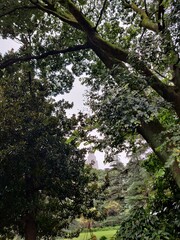 Tokyo Night and day in Japan