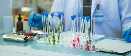 Banner of test tube samples of plant biochemical experiment in the laboratory.