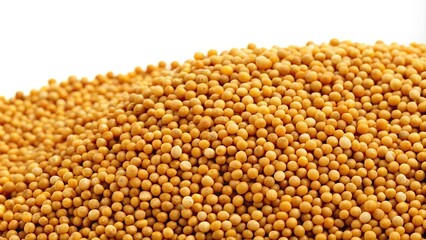 Fototapeta premium Mustard seeds isolated on white background, Worm's Eye View