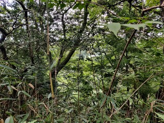 Obraz premium Sendai Between mountain and ocean