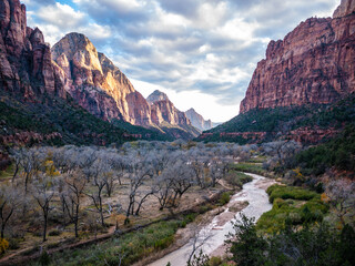 Obraz premium Zion National Park in Fall Season