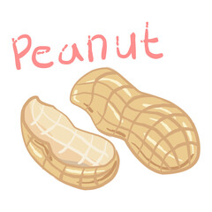 Hand drawn peanut shell illustration. The peanut shell has a rough texture with a striped pattern indicating the shell segments. The color of the peanut shell is light brown.