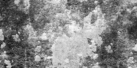 Abstract marble background , black and white. Natural stone texture background. Texture of a concrete wall with cracks and scratches.